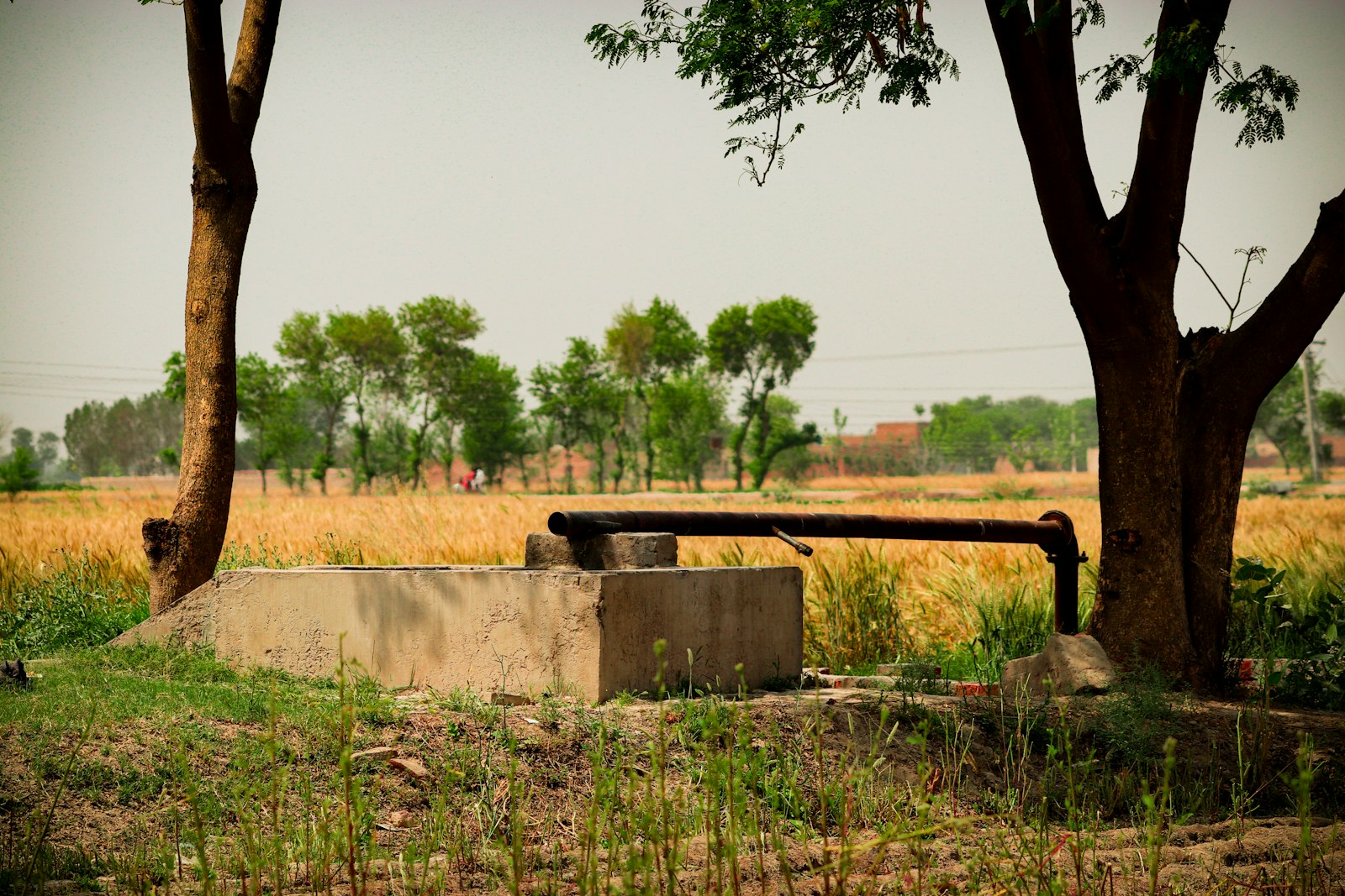 Water pump beside fields in a rural village