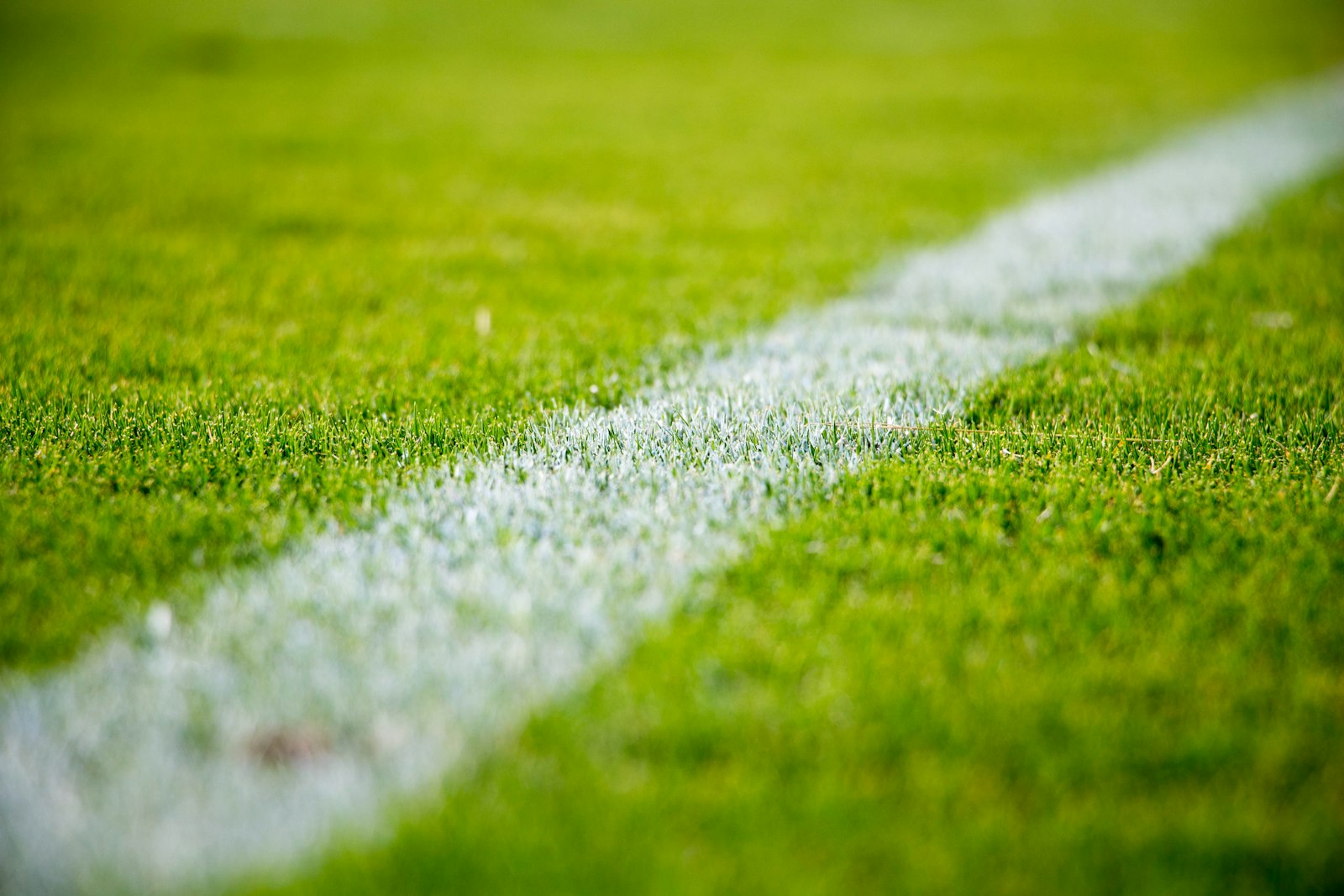 Close-up of a white line painted on a green football pitch Close-up of a white line painted on a green football pitch
