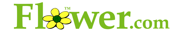 FLOWER.com FLOWER.com logo