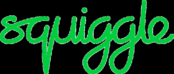 Squiggle Consult logo