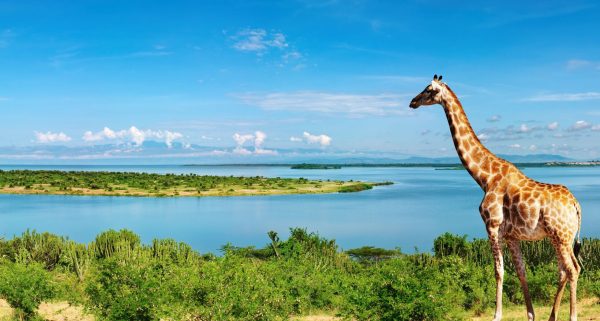 12 Days Uganda Safari: Off the Beaten Track
