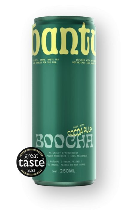 Boocha Cacao Fruit Juice Kombucha