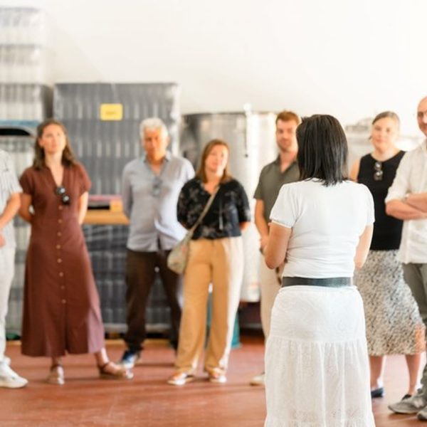 Uncorked Villamagna: Wine Tasting in Italy's Smallest DOC