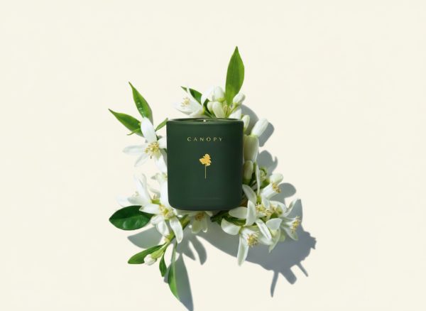 CANOPY FIRST LIGHT 100% Soy Wax Candle