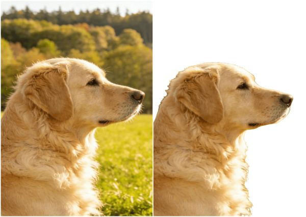 Image Background Remover