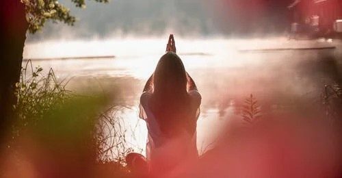 Wellness Escape