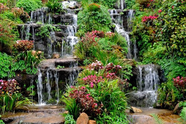 Serene Waterfall Amidst Vibrant Flora
