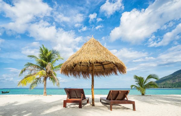 Tropical Beach Paradise
