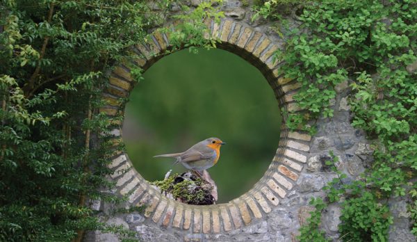 Songbird in a Stone Archway