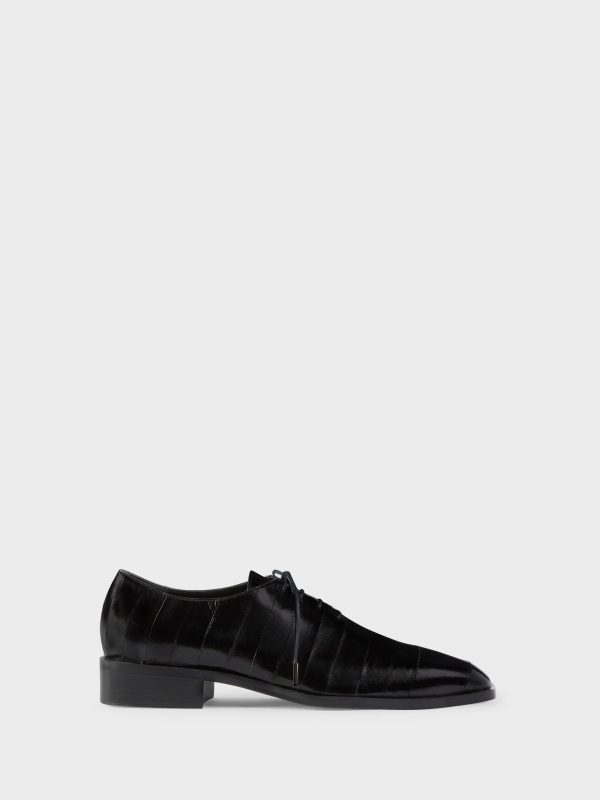 Sebhastian Lace-Up