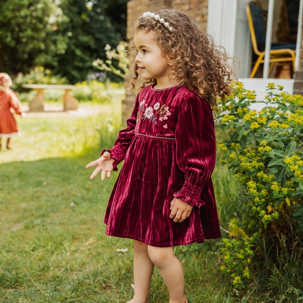 Malia Velvet Dress, Wine Red