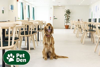 Pet travel: pet dens, cabins and kennels