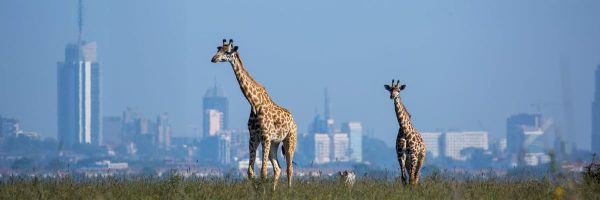 London Heathrow to Nairobi