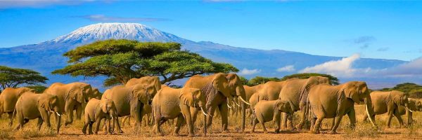 Flights to Kilimanjaro