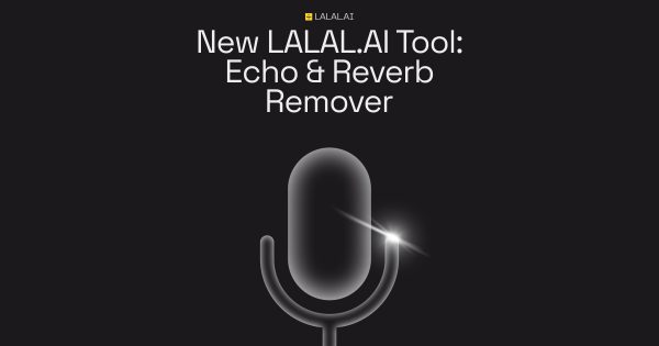 Echo & Reverb Remover