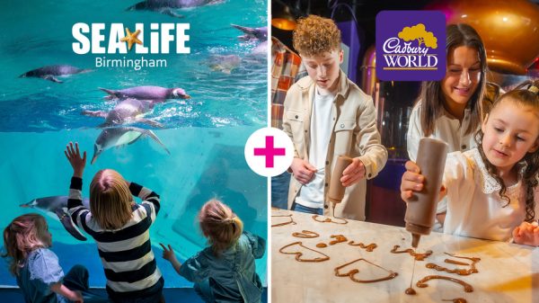 2-in-1 Ticket: Cadbury World + SEA LIFE Birmingham