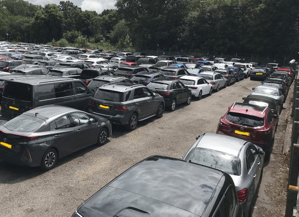 About Maple Parking