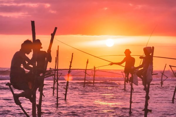 Grand Tour of Sri Lanka