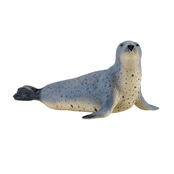 Grey Seal