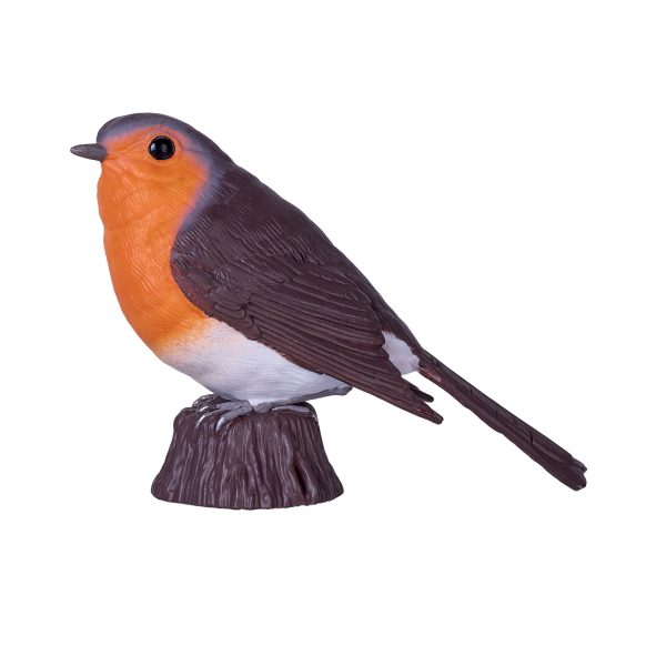 Robin