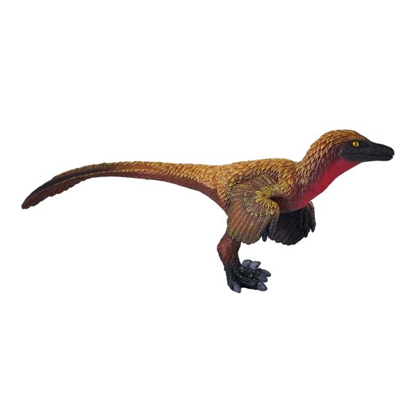 Velociraptor