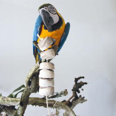 Bird Kabob - Standard - Natural Parrot Toy