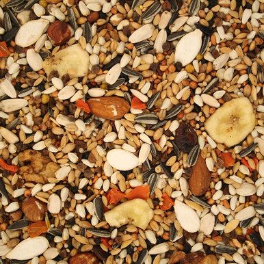 Parrot Premium Professional Parrot Food 2.5Kg