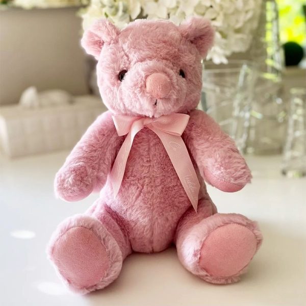 Personalised Record-A-Voice Teddy Bear - Pink