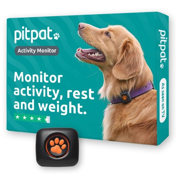 PitPat Dog Activity Monitor
