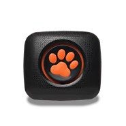 Activity Monitor Bundle