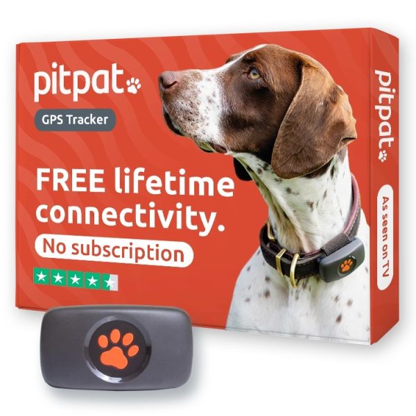 Dog GPS Tracker