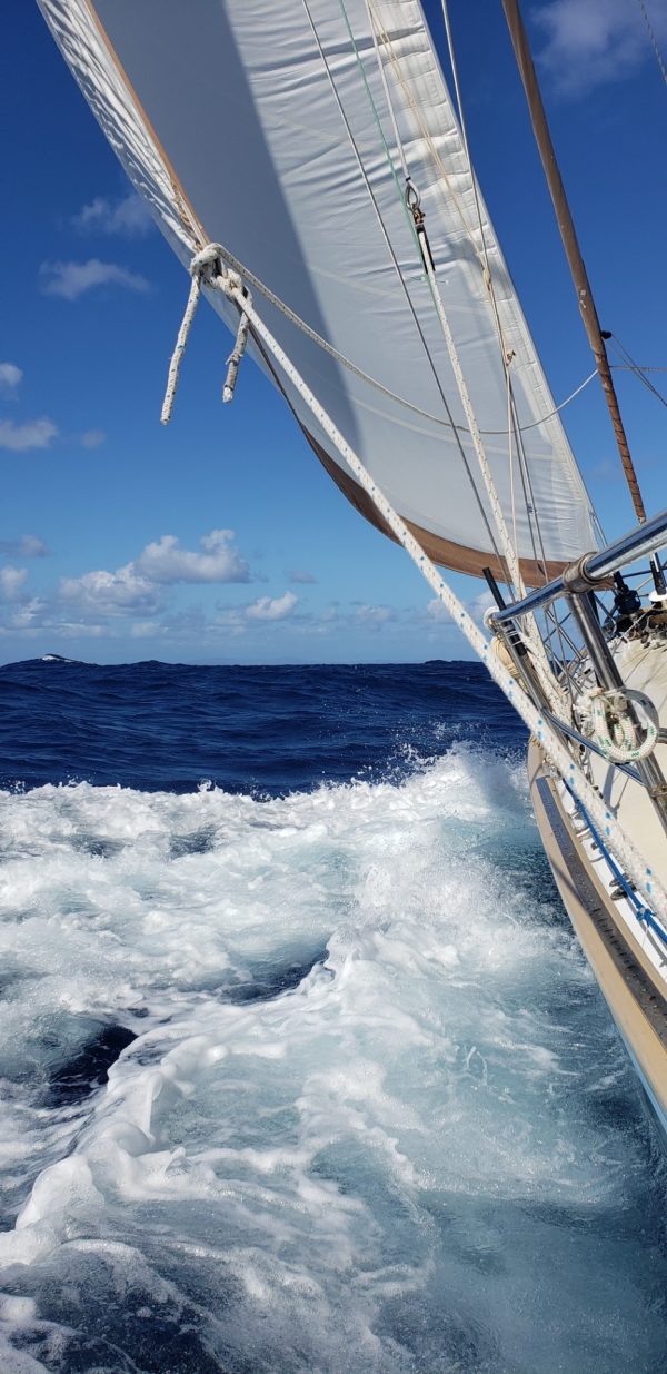 Caribbean Offshore Challenge