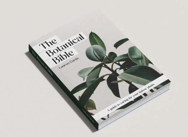 The Paperback | Novel