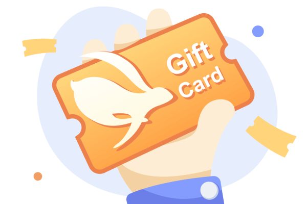 Turbo VPN Gift Card