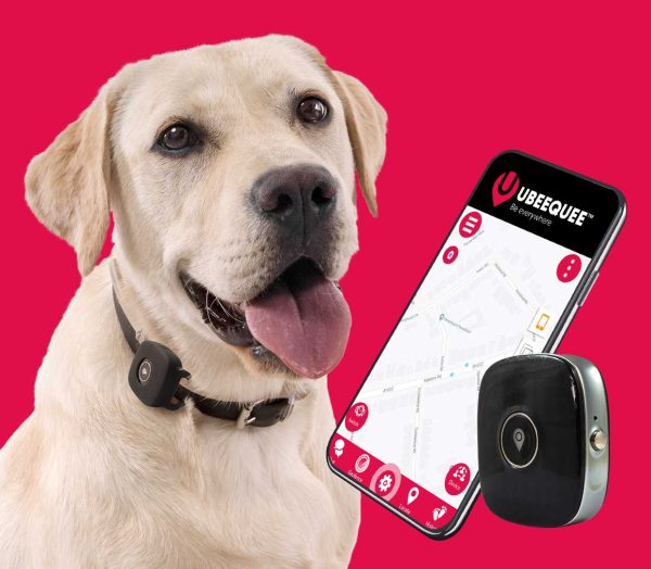 UBEE RANGER 4G Dog Tracker