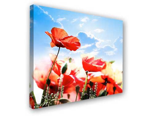 Photo on canvas (default dimensions)