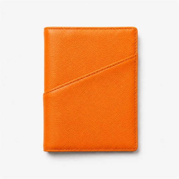 Passport Holder