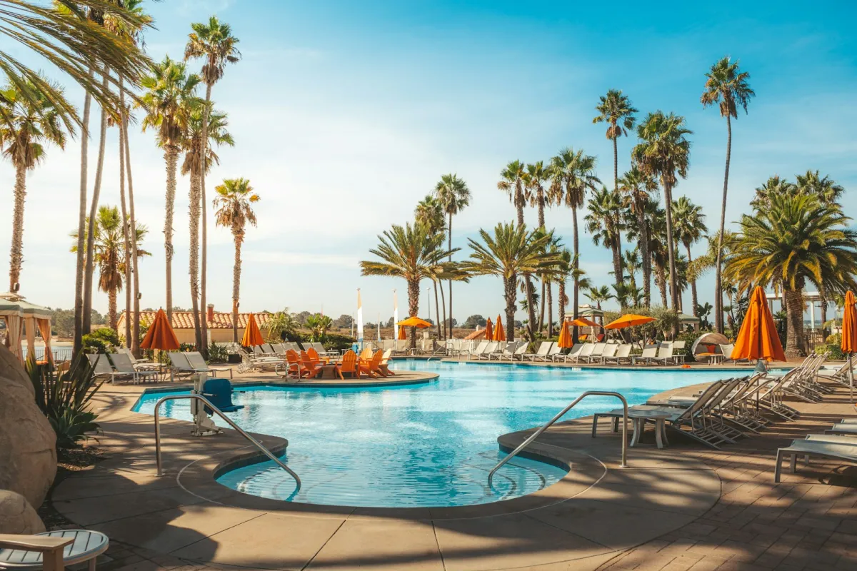 Hotel swimming pool lined with palm trees on a sunny day