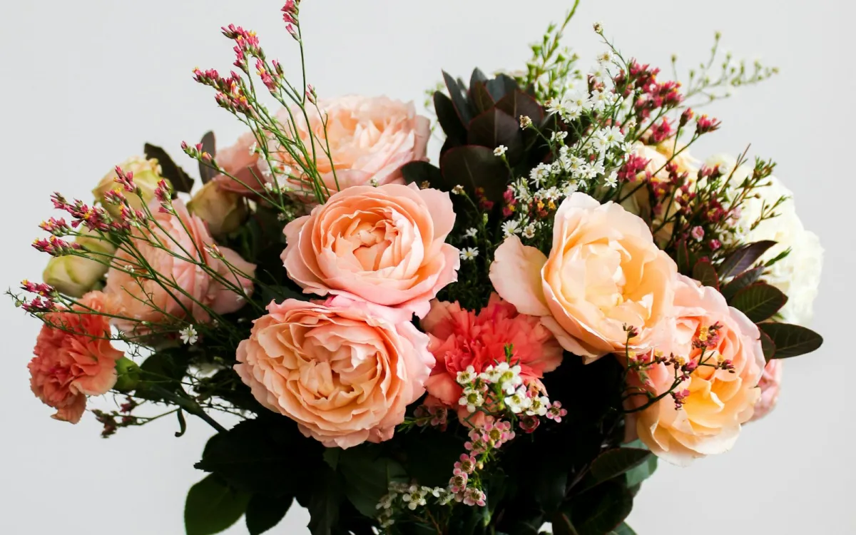 Bouquet of peach roses, carnations and wax flowers against a white wall Bouquet of peach roses, carnations and wax flowers against a white wall