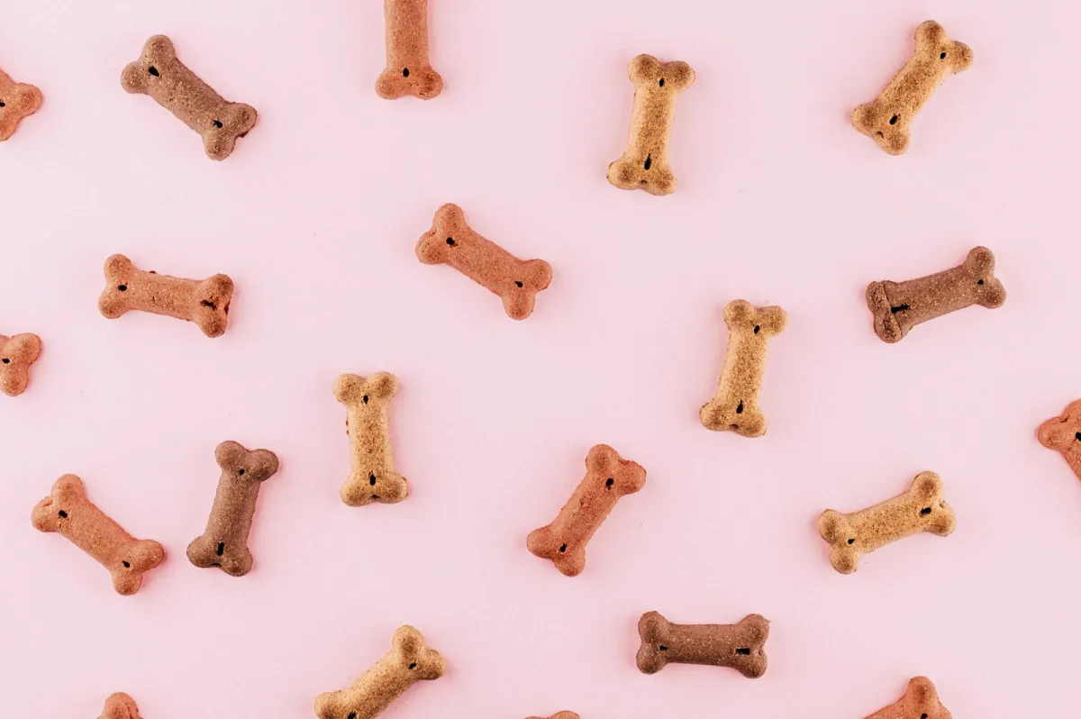 Bone-shaped dog biscuits scattered across a pale pink background Bone-shaped dog biscuits scattered across a pale pink background