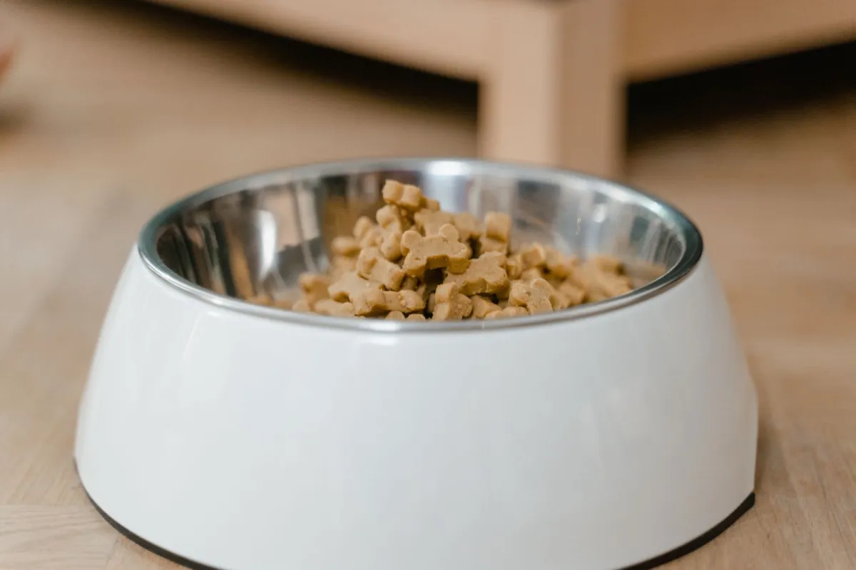 A white dog bowl filled with bone-shaped dog biscuits on a wooden floor A white dog bowl filled with bone-shaped dog biscuits on a wooden floor