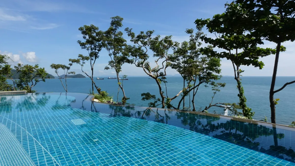 An infinity pool framed by trees, looking out over a calm blue sea