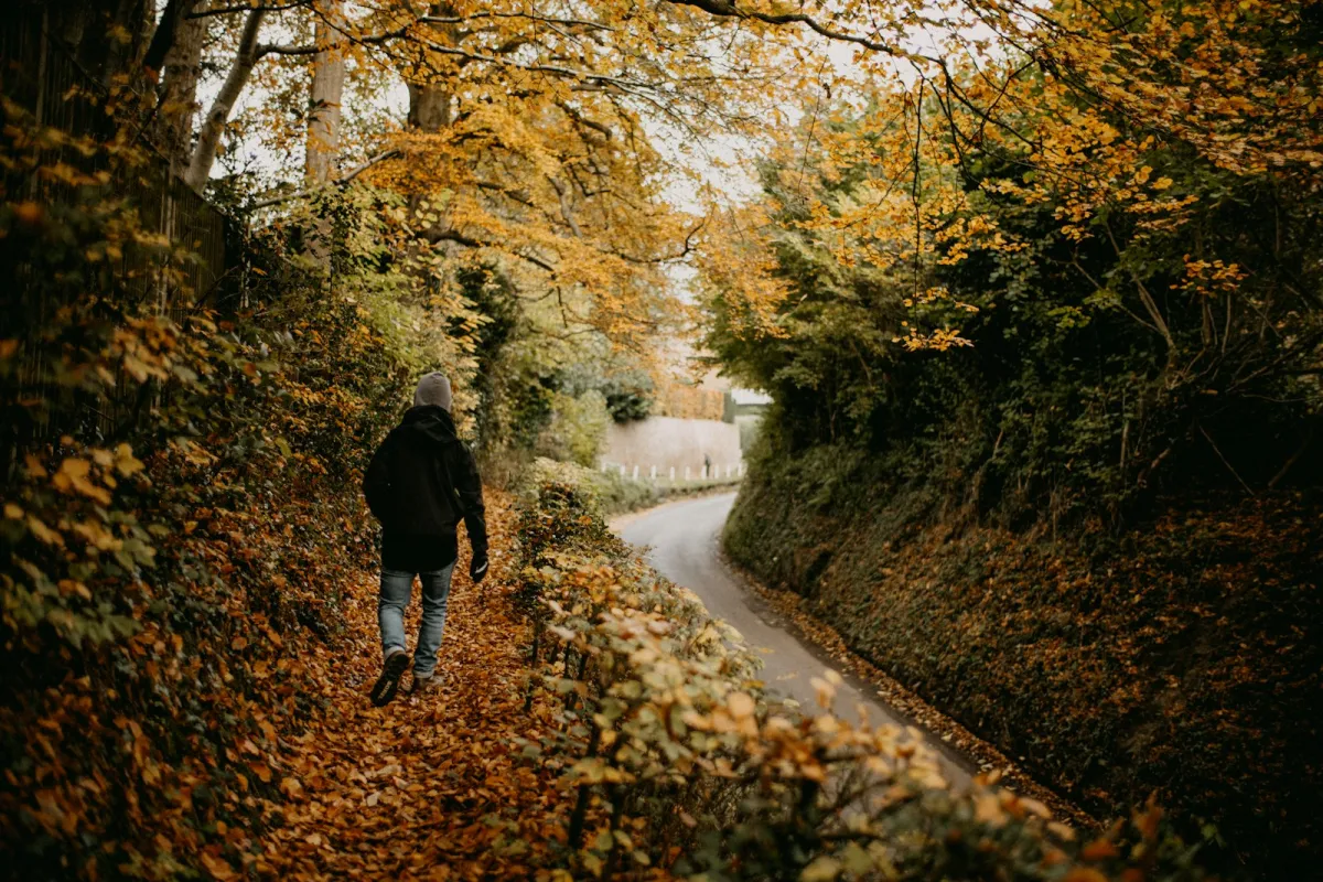 Walker on a leaf-covered country lane lined with autumn trees