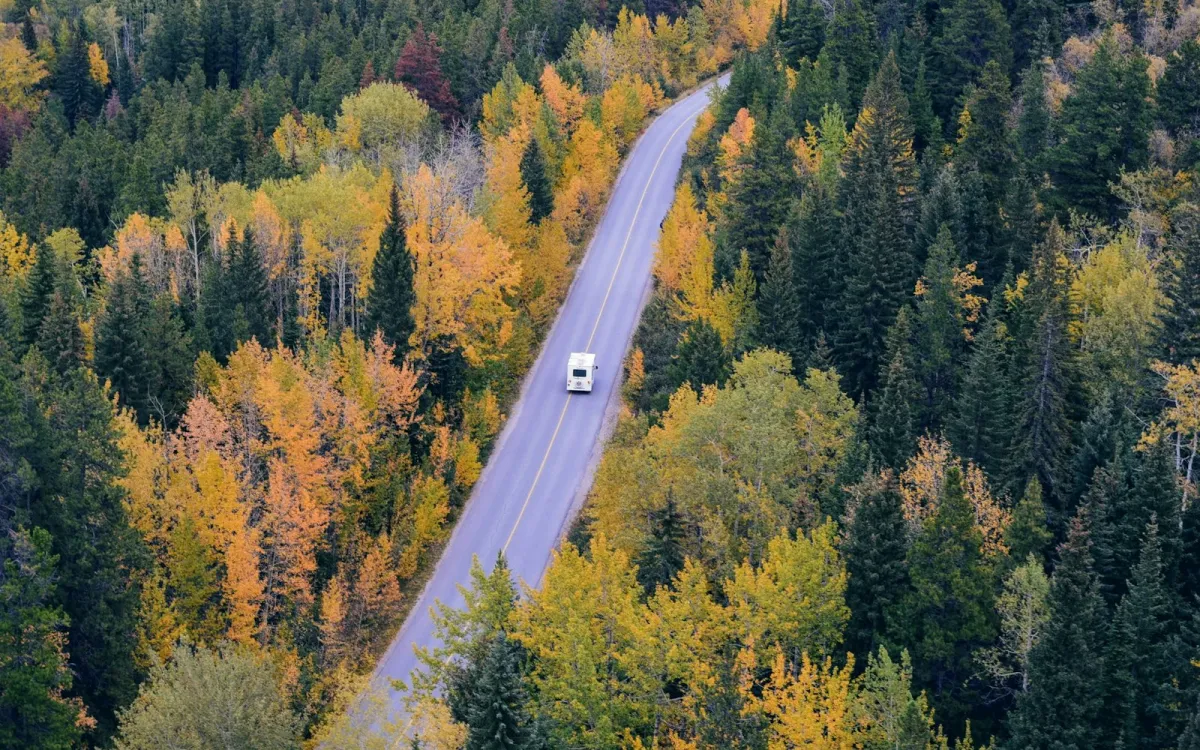 Aerial view of a car on a road through autumn woodland