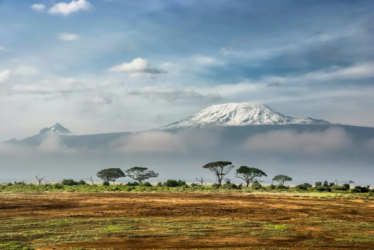 Snow-capped Mount Kilimanjaro rising above clouds and acacia trees in Amboseli National Park
