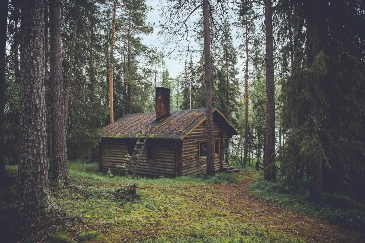 A wooden cabin among tall pine trees in a forest A wooden cabin among tall pine trees in a forest
