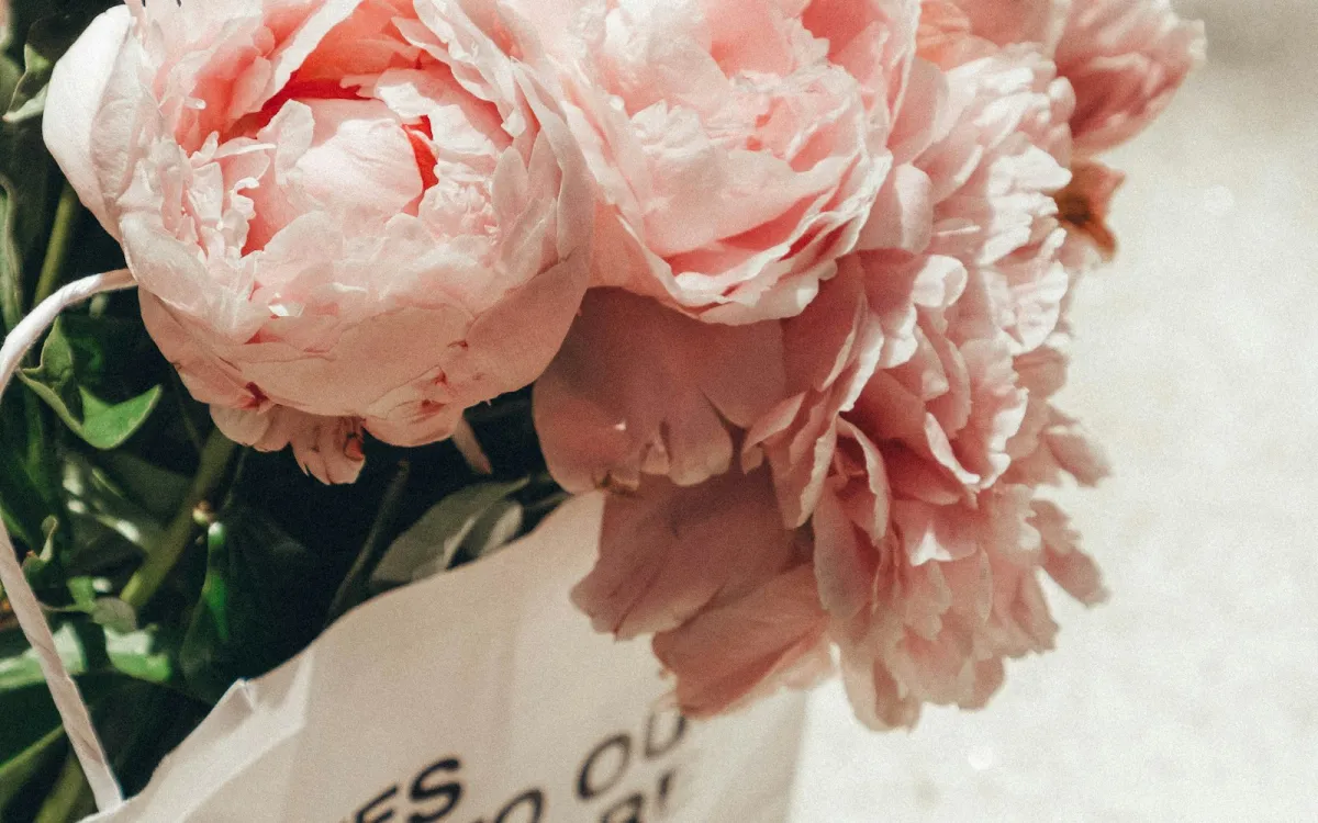 A bunch of soft pink peonies in a white paper bag A bunch of soft pink peonies in a white paper bag