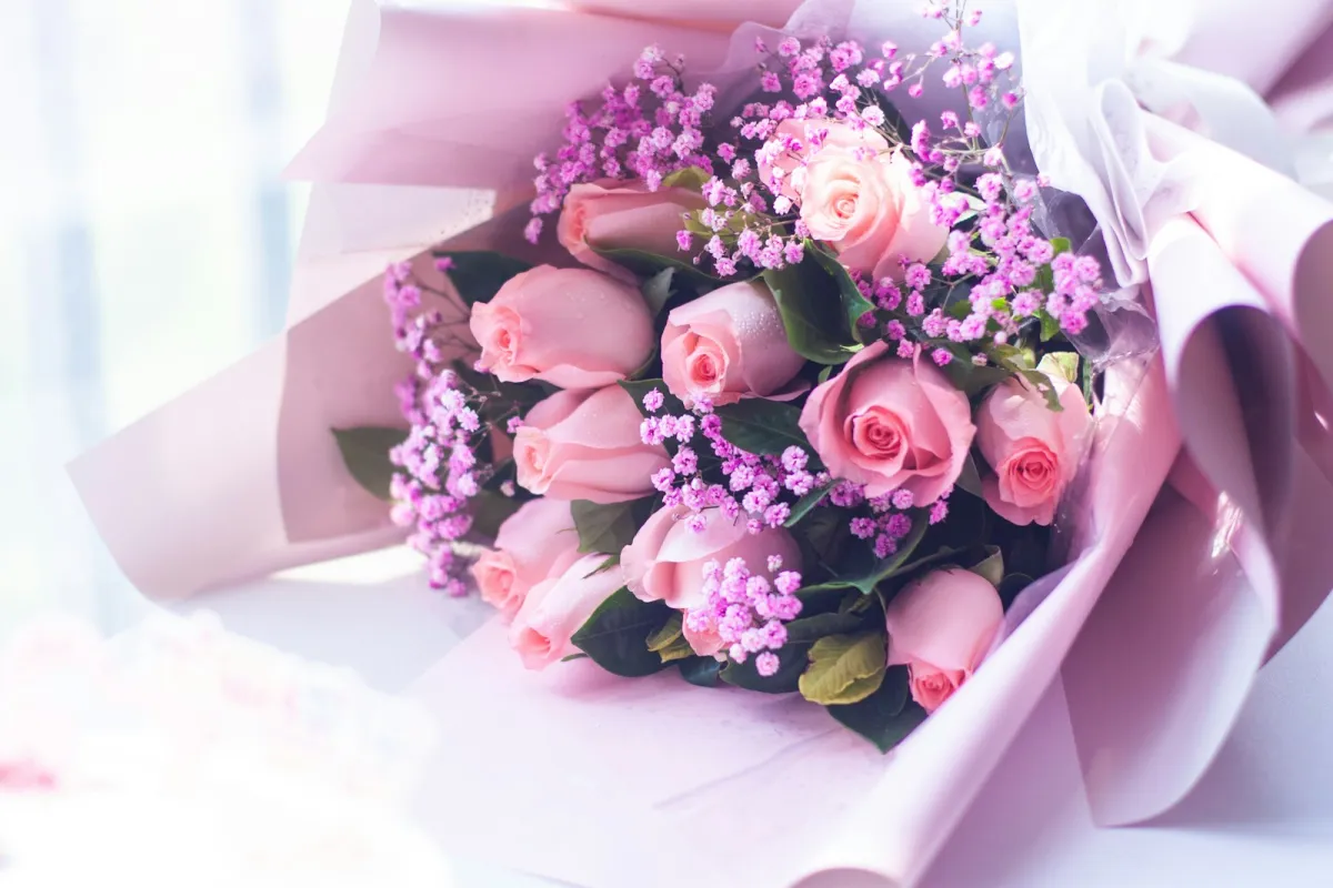 A bouquet of pink roses and gypsophila wrapped in pink paper A bouquet of pink roses and gypsophila wrapped in pink paper