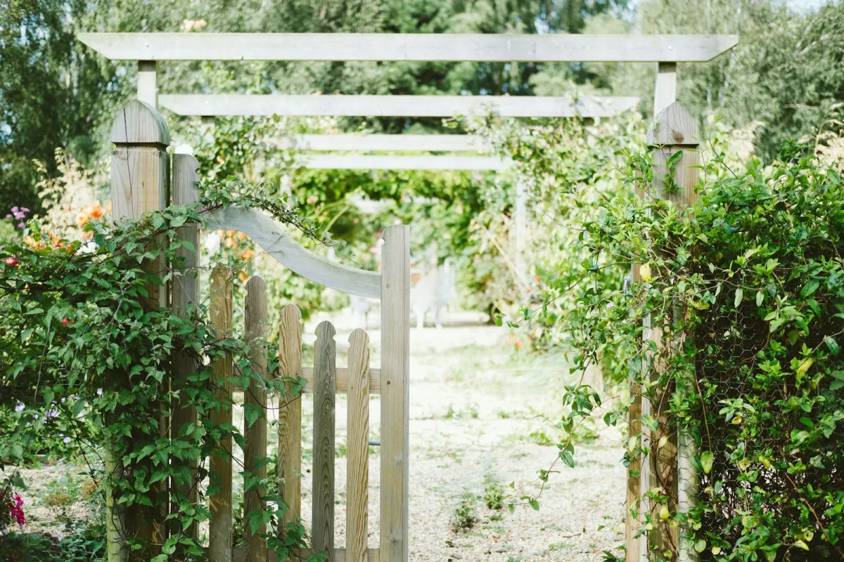 A wooden garden gate and pergola covered in climbing plants