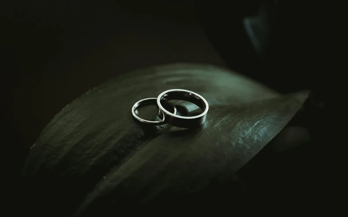 Two silver rings resting on a dark green leaf